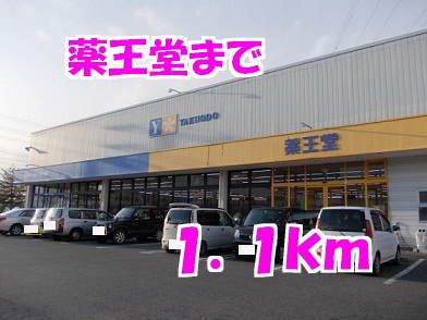 近くの薬王堂まで1,100m(徒歩14分)