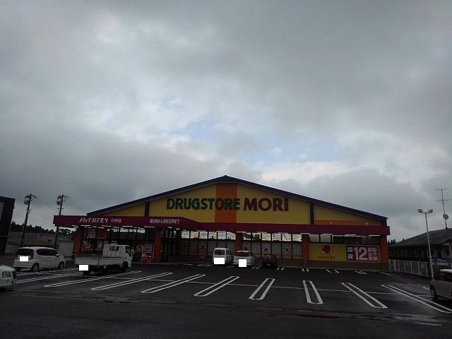 近くのドラッグストアモリ小林店まで1,900m（徒歩24分）