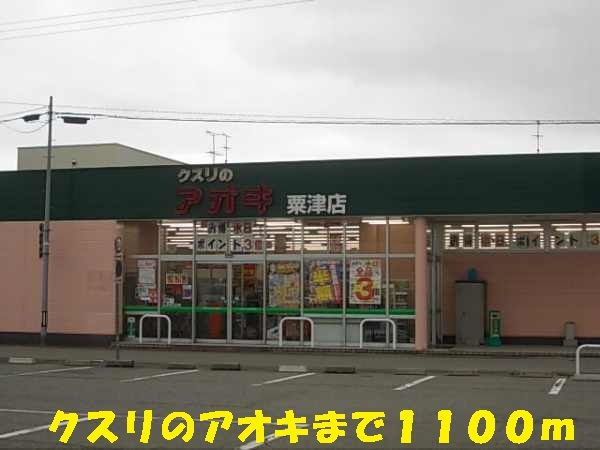 近くのクスリのアオキまで1,100m(徒歩14分)