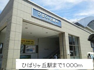 近くのひばりヶ丘駅まで1,000m(徒歩13分)