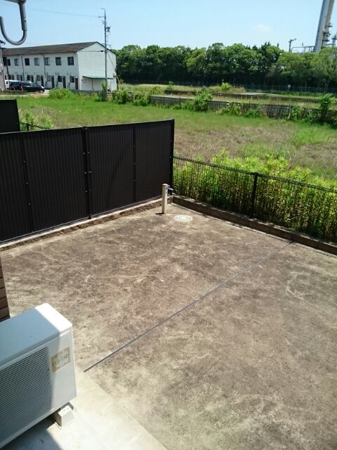 庭