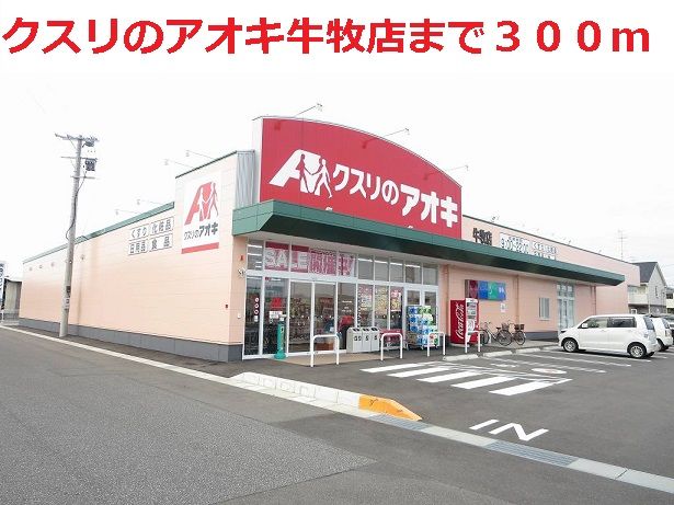 近くのクスリのアオキ牛牧店まで300m（徒歩4分）