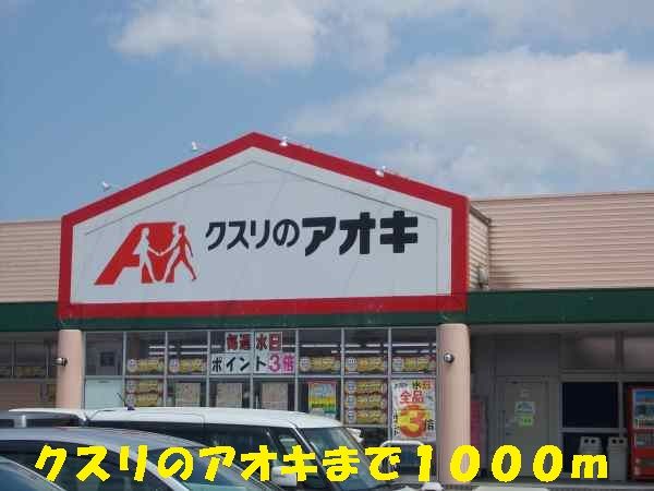 近くのクスリのアオキまで1,000m（徒歩13分）