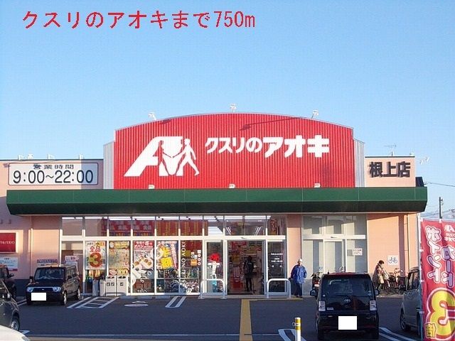 近くのドラッグストアまで750m（徒歩10分）