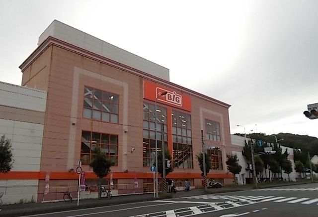 近くのＢＩＧ二宮店まで2,900m（徒歩37分）