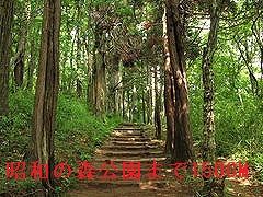 近くの昭和の森公園まで1,500m(徒歩19分)