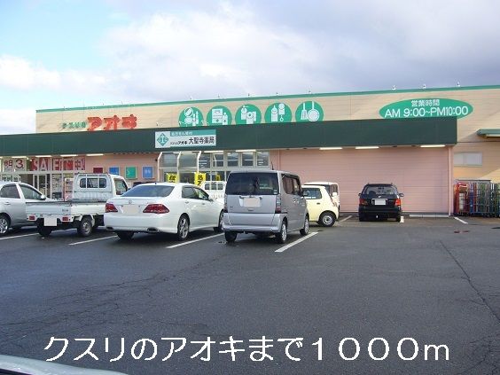 近くのクスリのアオキまで1,000m(徒歩13分)