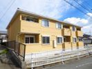 イエローフォレストの間取り画像