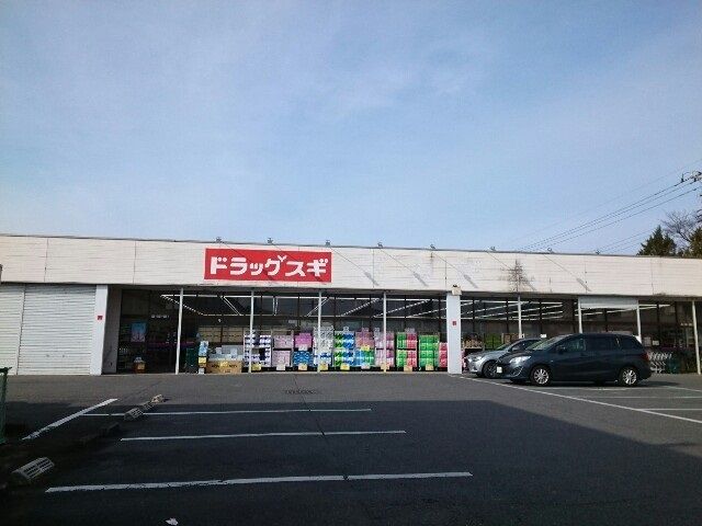 近くのスギドラッグ片岡店まで1,000m（徒歩13分）