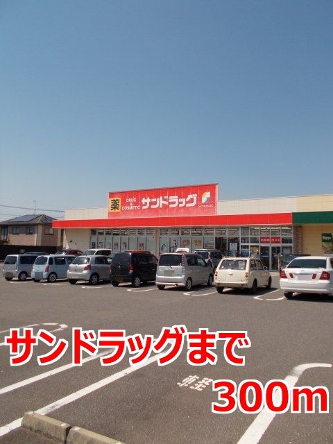 近くのサンドラッグまで300m（徒歩4分）