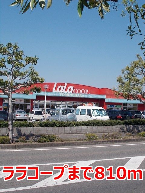 近くのララコープまで810m（徒歩11分）