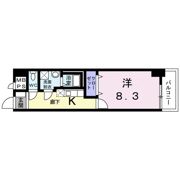 サピー豊洲の間取り画像