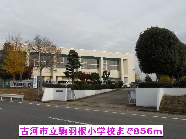 近くの古河市立駒羽根小学校まで856m（徒歩11分）