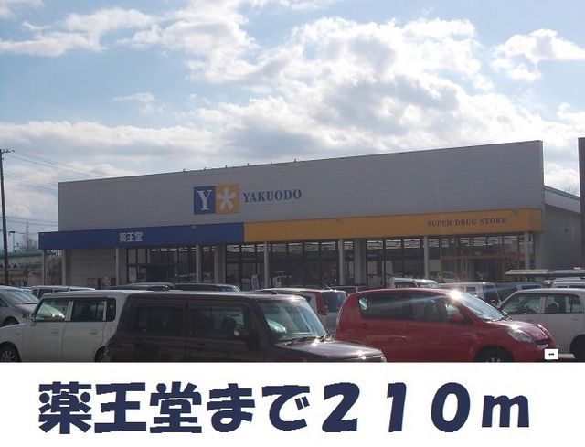 近くの薬王堂まで210m（徒歩3分）