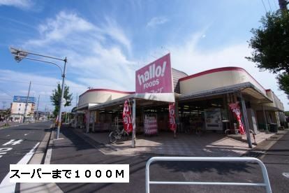 近くのハローフーヅまで1,000m（徒歩13分）