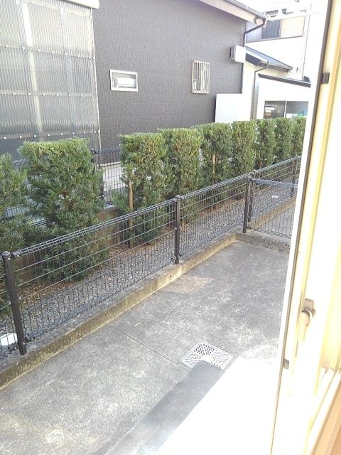 庭