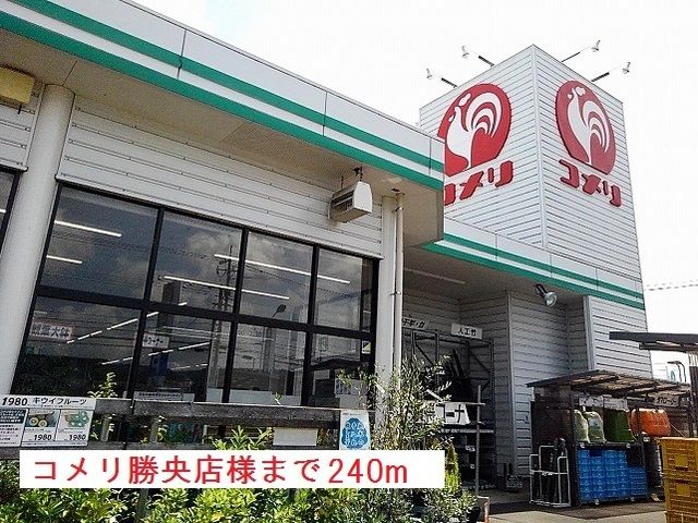 近くのコメリ様まで240m（徒歩3分）