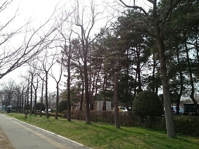 近くの亀田公園まで1,000m（徒歩13分）