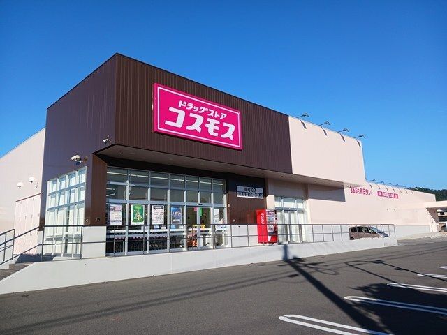 近くのドラッグストアまで300m（徒歩4分）