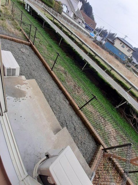庭