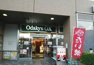 近くの小田急OXまで960m(徒歩12分)
