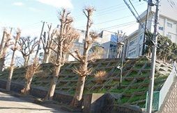 近くの神奈川衛生学園専門学校まで100m（徒歩2分）