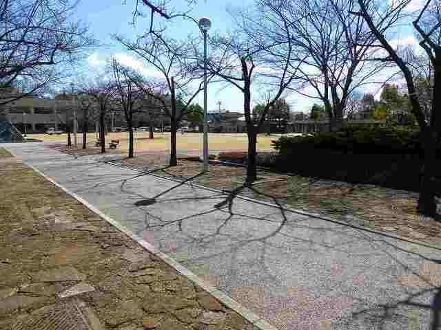 近くの城址公園まで900m（徒歩12分）