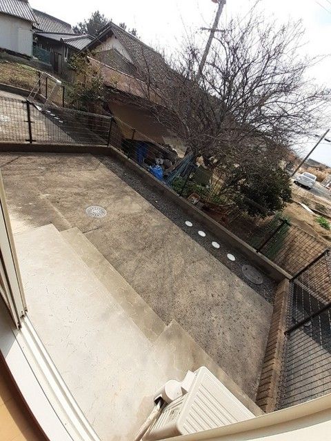 庭
