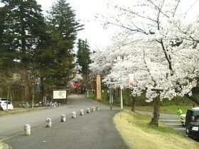 近くの悠久山公園まで600m（徒歩8分）