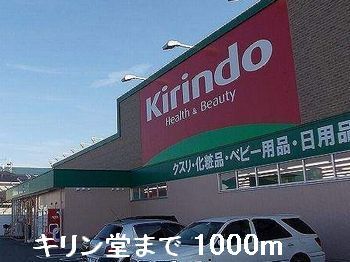 近くのドラッグストアまで1,000m（徒歩13分）