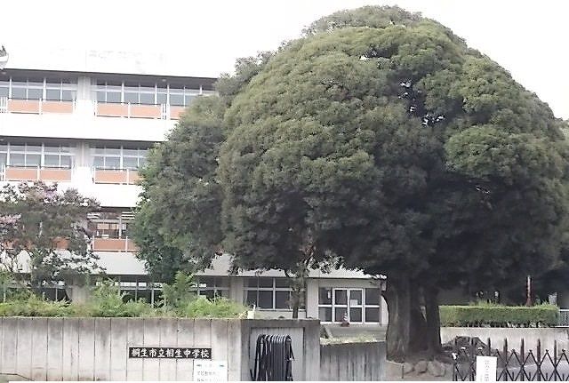 近くの相生中学校まで2,000m（徒歩25分）