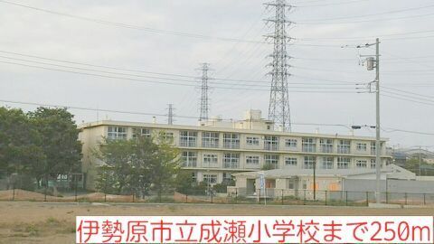 近くの小学校まで250m（徒歩4分）