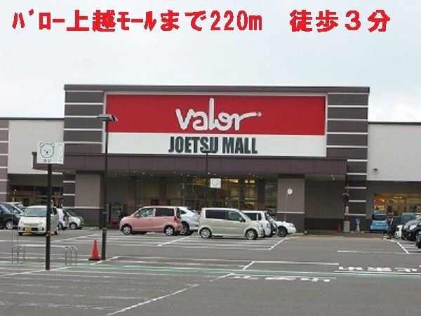 近くのバロー上越モールまで220m（徒歩3分）
