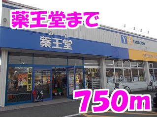 近くの薬王堂まで750m（徒歩10分）