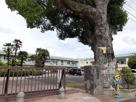 近くの知恵島小学校まで600m（徒歩8分）