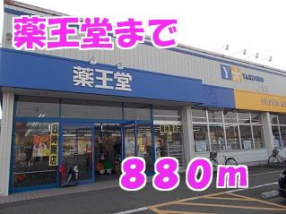 近くの薬王堂まで880m（徒歩11分）
