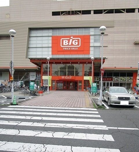 近くのザ・ビッグまで700m(徒歩9分)