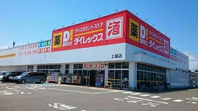 近くのダイレックス上越店まで1,100m（徒歩14分）