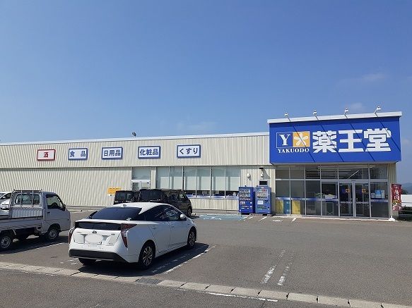 近くの薬王堂酒田平田店まで86m（徒歩2分）