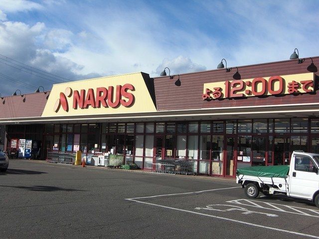 近くのナルス鴨島店まで1,200m（徒歩15分）