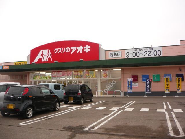 近くのクスリのアオキ鴨島店まで720m（徒歩9分）