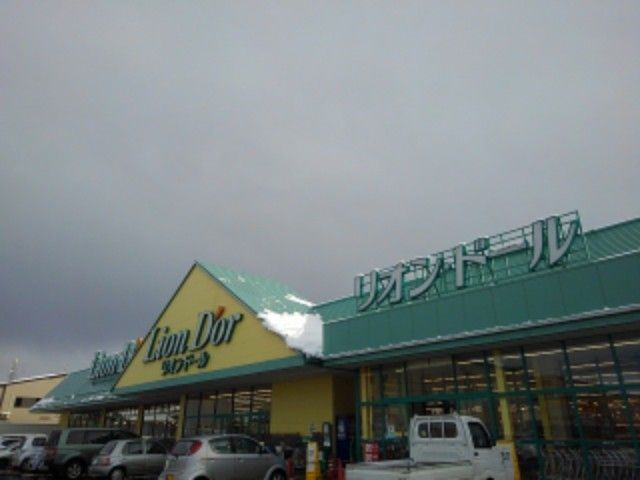 近くのリオンドール大崎店まで800m（徒歩10分）
