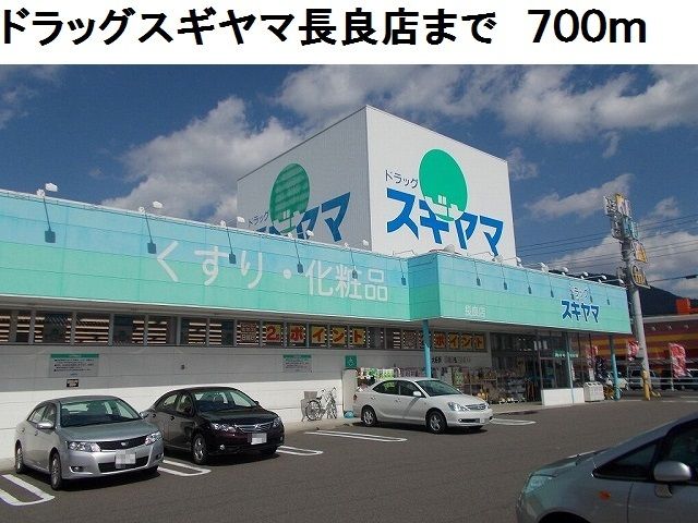 近くのドラッグスギヤマ長良店まで700m（徒歩9分）