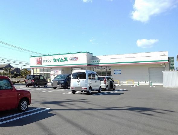 近くのドラッグストアまで750m（徒歩10分）