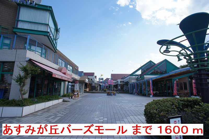 近くのあすみが丘バーズモールまで1,600m（徒歩20分）