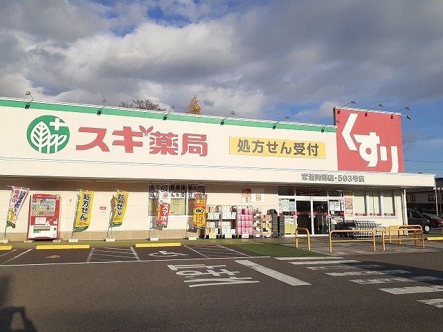 近くのスギ薬局常滑陶郷店まで222m（徒歩3分）