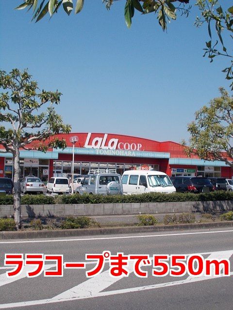 近くのララコープまで550m（徒歩7分）