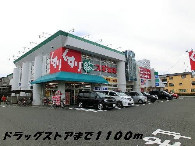 近くのスギ薬局まで1,100m（徒歩14分）