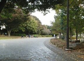近くの花島公園まで1,590m(徒歩20分)