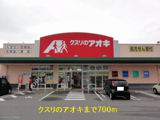 近くのクスリのアオキまで700m(徒歩9分)